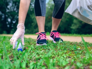 Plandelen op Wandel.nl