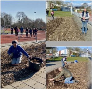 Hortensiapark snoeien en bemesten