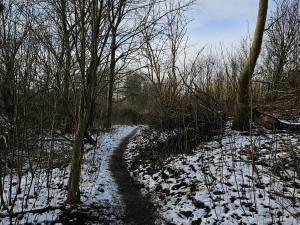 Een deel van het parcours